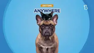 Pet Care Made Simple, All in One App