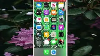 iPhone 7 : How to silence incoming email messages in Mail app