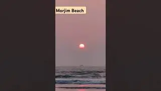 Goa | Morjim Beach | Mini Russian #goa #sunset #beach #goabeach #shorts #sunsetview #viral