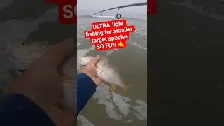 Using the ULTRA-light setup surf fishing is a BLAST 🎣