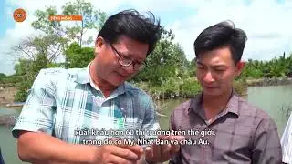 [MONG LANGUAGE] ENDLESS TREASURE | VTV5