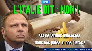 L'Italie dit non &agrave; la farine d'insectes dans les p&acirc;tes et les pizzas !