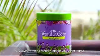Why and How to Use Divinetree WonderCote | All-in-one Plant Food | NPK for Plants #divinetree