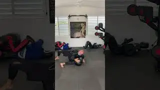 BJJ HEAVY BAG SOLO MOBILITY DRILLS #mobilitydrills #10p #bjj #jiujitsu #grapplingdummy #nogi
