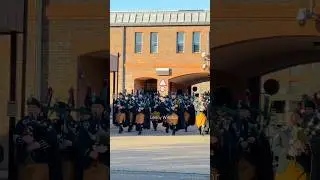 Pipers! #irish #guard #changingoftheguard #army #shorts #bagpipes #viral