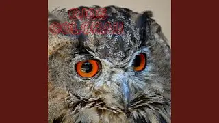 Ojos Colorau (Radio Edit)