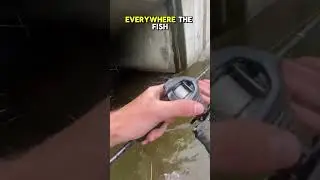 Would you cast here? @hunterdubs.fwtx