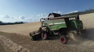 Fendt 5275C SL e Cressoni Crx 660 - Mietitrebbiatura frumento F.lli Suigi