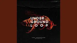 Minimalism (Underground Loop Remix)