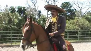 Sergio Rugama- Alla en el cielo