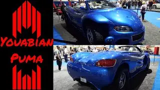 Youabian Puma