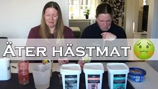 MUKBANG - &Auml;TER H&Auml;STMAT