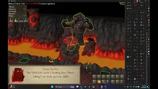 Zuk fight