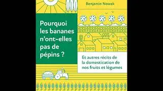 L'Actu du jour : Benjamin Nowak &agrave; la cit&eacute; internationale de la gastronomie et du vin de Dijon