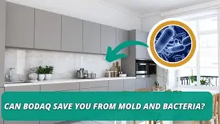 Is Bodaq Interior Film Antimicrobial? | Certified Protection for Restaurants, Hotels & More!