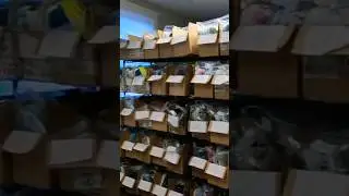 eBay inventory system made easy