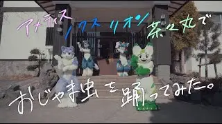 アメティスとノクスとリオンと茶々丸でおじゃま虫を踊ってみた。
