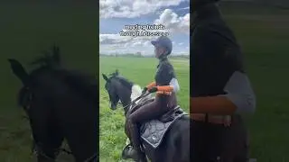 send to that friend! #horse #horses #horseriding #horsegirl #riding #equestrian #pony  #horsefan