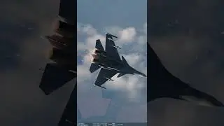 F-14 Tomcat High Altitude Dogfight #shorts