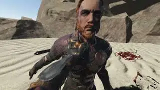 Ronins Law