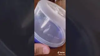 how to keep wasps as pets