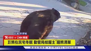【CNN精選】最狂房客! 250kg巨熊闖民宅住一週「冬眠」 屋主崩潰｜TVBS新聞 @TVBSNEWS01