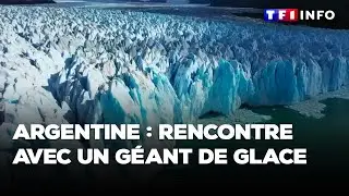 Argentine : rencontre avec un géant de glace