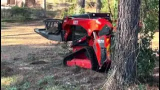 Wow! Watch what One forestry cutter and good work ethics accomplish!