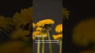 Imam ali says:   #shorts #shia #muslim #quotes