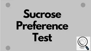 Sucrose Preference Test in Depression Study | Depression Parameter of Morphine Induced Dependence