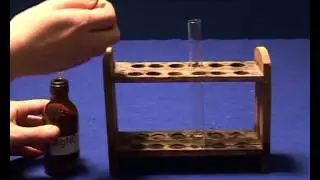ChemLab - 3. Compounds of Calcium and Determination of Salt Content of Tap Water