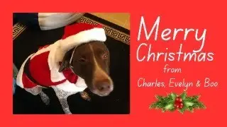 The Heartwarming Christmas Message from Charles, Evelyn, Boo-Boo, and Yogi