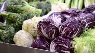 Harvest Wagon Promo Video