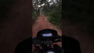 Joypur Forest #joypurforest #bike #forest #forestroad #youtubeshorts