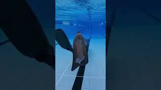 Pool training for freediving | epic session with a 100m PB
