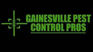 Gainesville Spider Control | Spider Pest Control Service in Gainesville FL