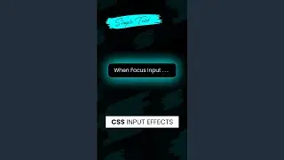 Input Field Effects Using Html and CSS | CSS Label Animations 