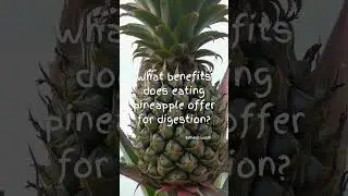 #Pineapple  #Shorts #NaturalHealing #Wellness  #MindBodySpirit #MasterGreg #RemoteHealing