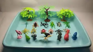 Satisfying Animal Toys Collection | ASMR 🍃