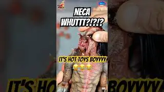 the Best PREDATOR Figure to Date?!? | Feral Predator From TV FILM Hot Toys Presents The PREY!!!