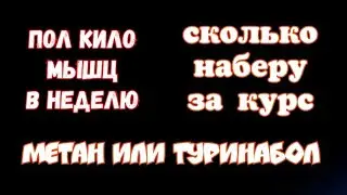 Сколько наберу на курсе стероидов