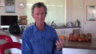 Are You A Victim Of The System? | FarmingSecrets.com
