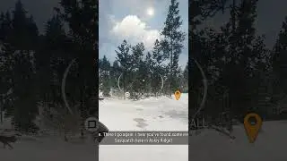 TheHunter Call of the Wild : Sasquatch in Alberta?