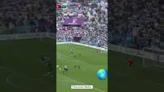 World Cup 2022 #Wildmoments
