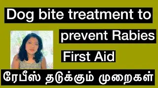நாய் கடித்தால் என்ன செய்ய வேண்டும் | Dog bite treatment in Tamil | Dog bite rabies prevention Tamil 