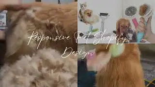 SHOPIFY WEBSITE DESIGN DEVELOPMENT | PET SHOPIFY STORE DESIGN | PET GROOMING | PET CARE | DOG CARE