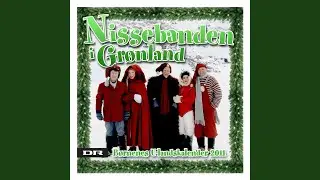 Nu Er Det Jul (feat. Marianne van Toornburg)