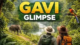 Gavi Forest Glimpse 🌿 | Raw Jungle Beauty, Wildlife & Misty Views