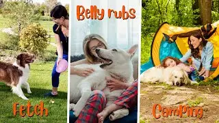 12 Super Fun Things to do with your Dog