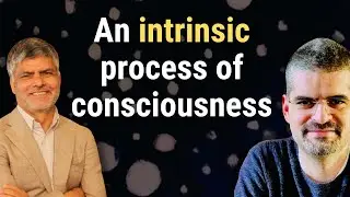 Contempt for the body? Dr. Sthaneshwar Timalsina & Bernardo Kastrup